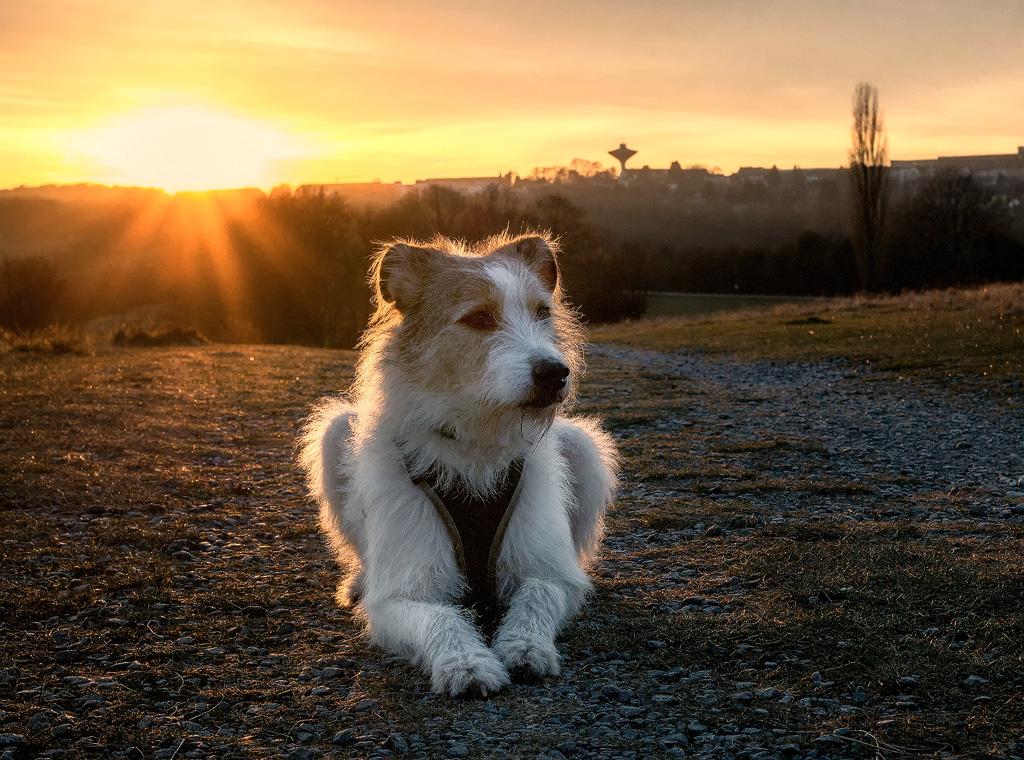 1111  Felix-SAM_0989-1-Kopie.jpg